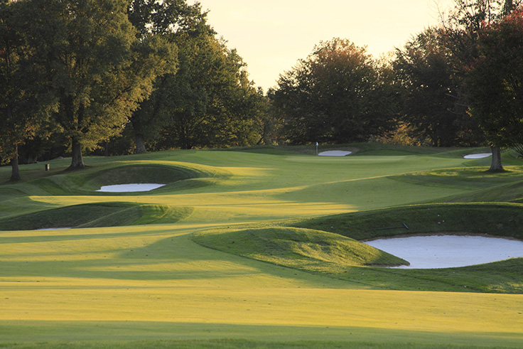 Webinar: Summer stress relief for you and your fairways