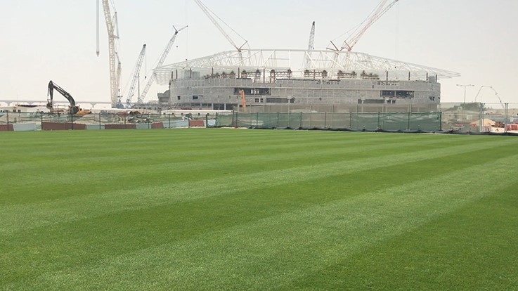 Platinum TE Paspalum selected as exclusive turfgrass for 2022 FIFA World Club