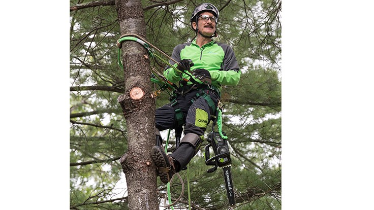 Greenworks partners with renowned arborist Palmer