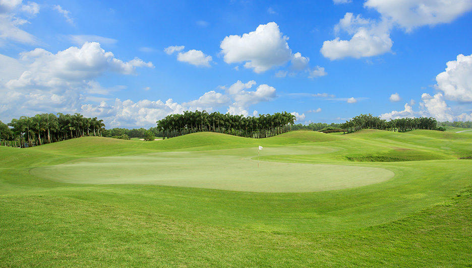 GCSAA survey reveals steep decreases in applied nutrient usage - Golf  Course Industry
