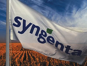 Waving Syngenta flag