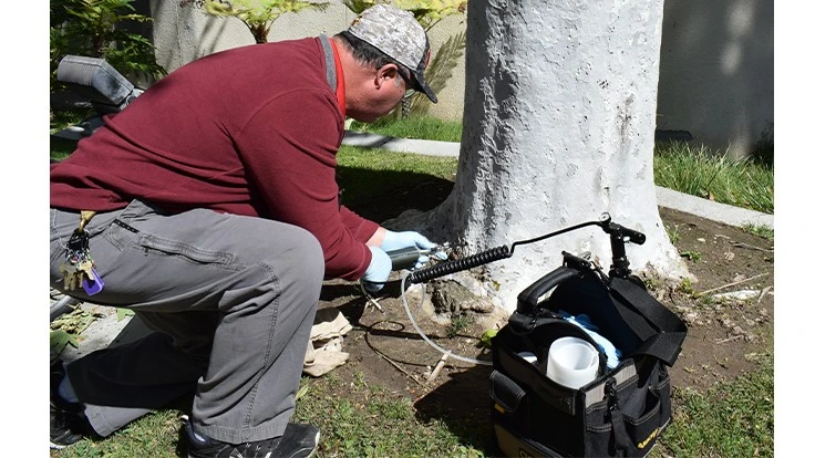 Photo courtesy of Arborjet