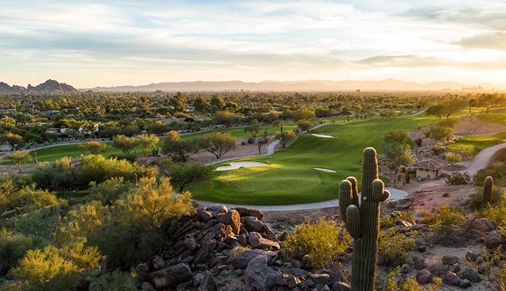 Photo courtesy of The Phoenician