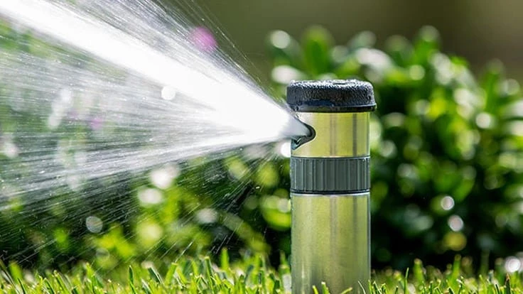 Photo courtesy of Hunter