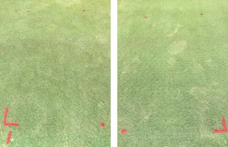 Maxtima treated on left. Non-treated control on right.