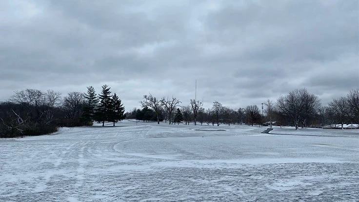 Courtesy of Dan Francis