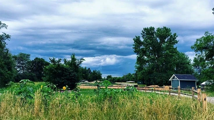 Courtesy of Angelica Carmen