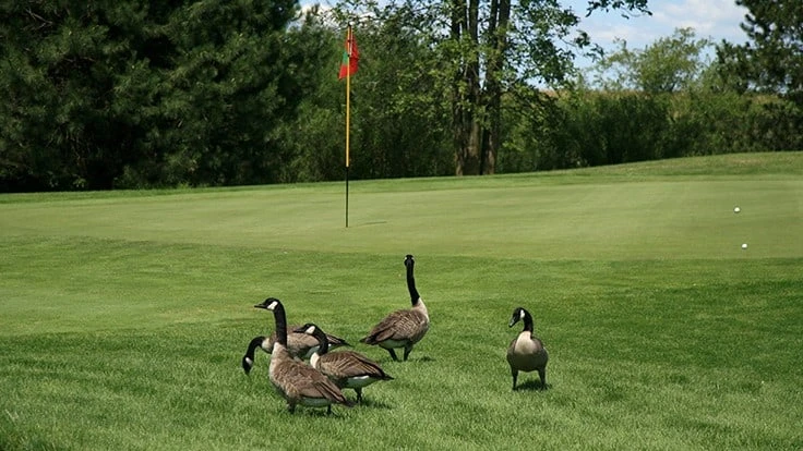 Adobe Stock, Donald Joski