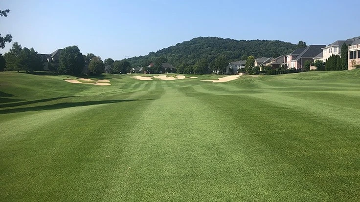 Courtesy of Shaune Achurch 