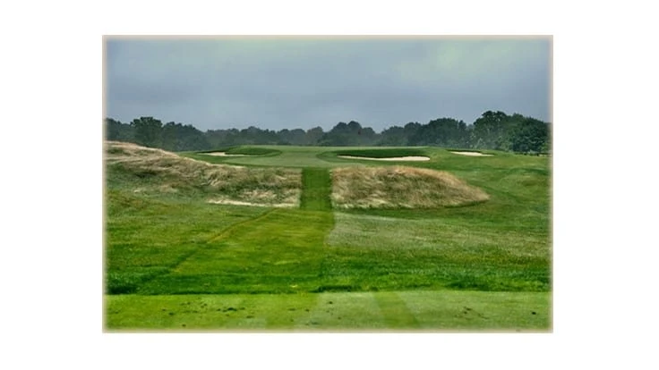 Courtesy of Robert McNeil 