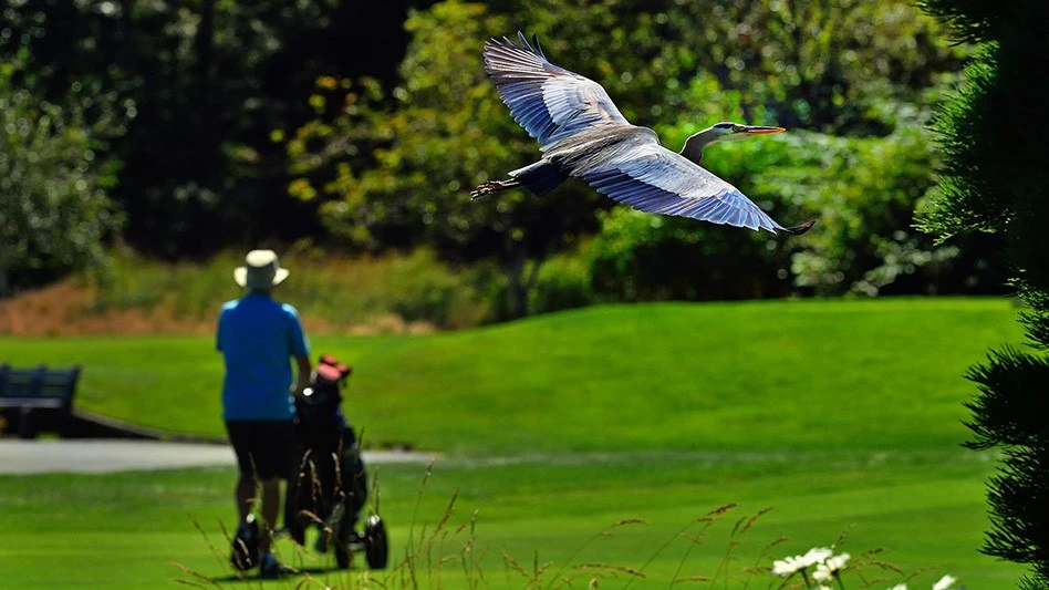 Courtesy of Audubon International