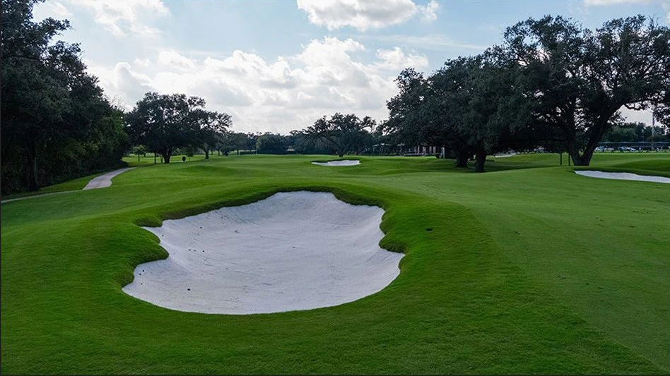 Long Drive Agency (2)