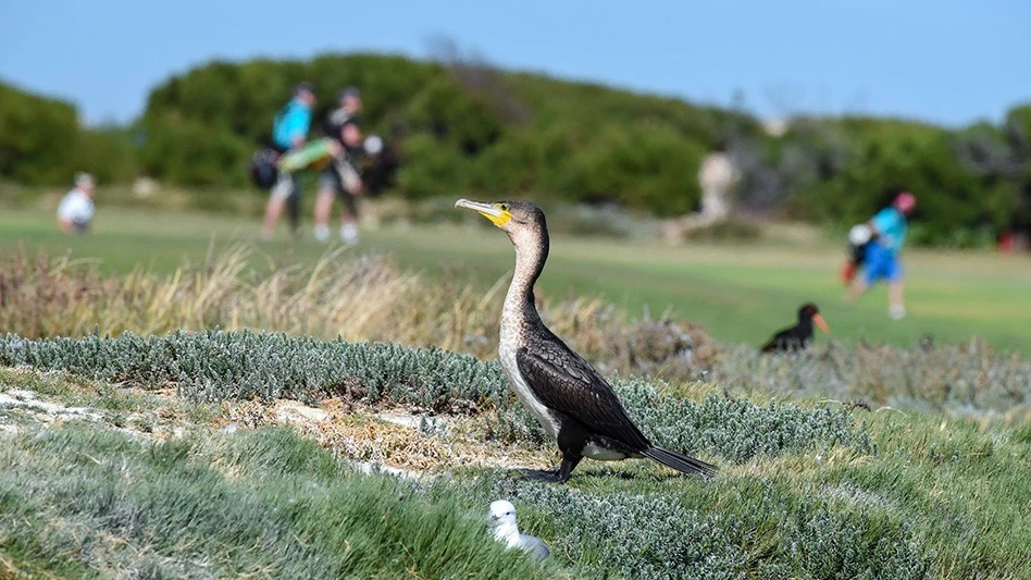 Adobe Stock / Johann