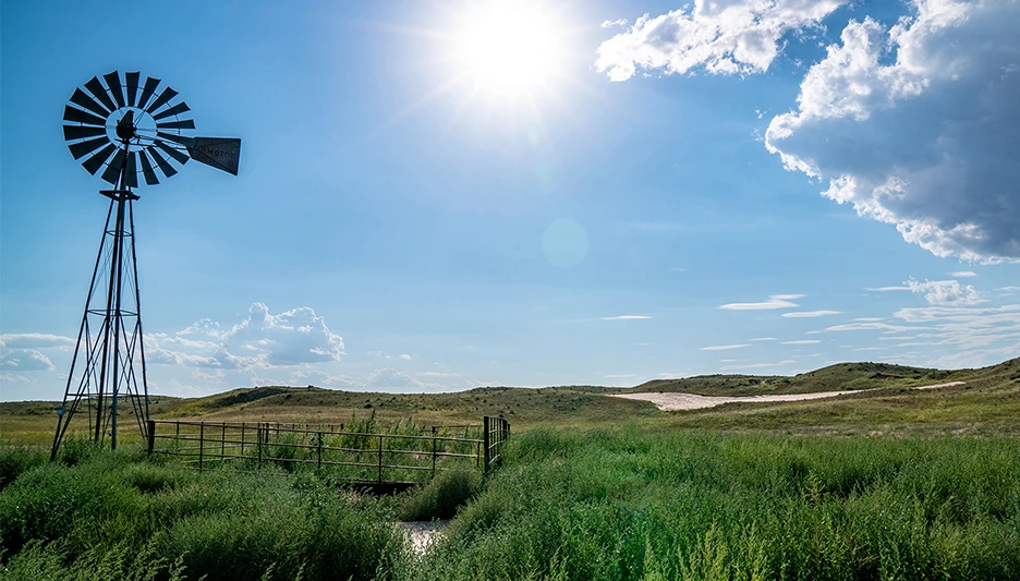 Courtesy of Dormie Network