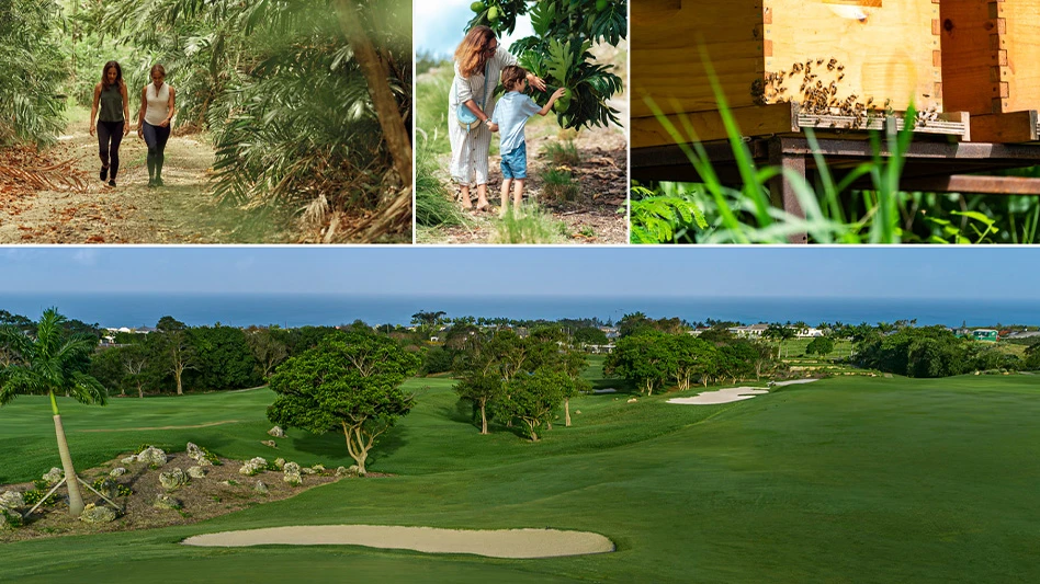 Courtesy of Apes Hill Barbados