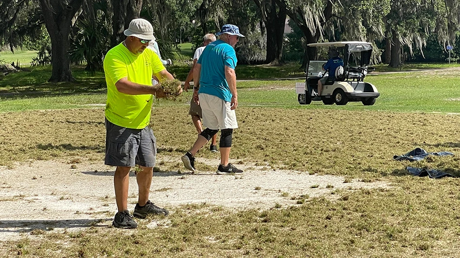 Courtesy of Sod Solutions