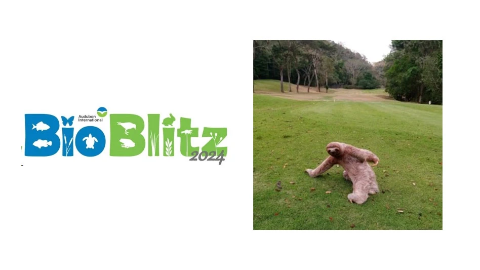 The BioBlitz Best Photography Winner for 2024 was the three-toed sloth at La Iguana Golf Course in Puntarenas, Costa Rica.
