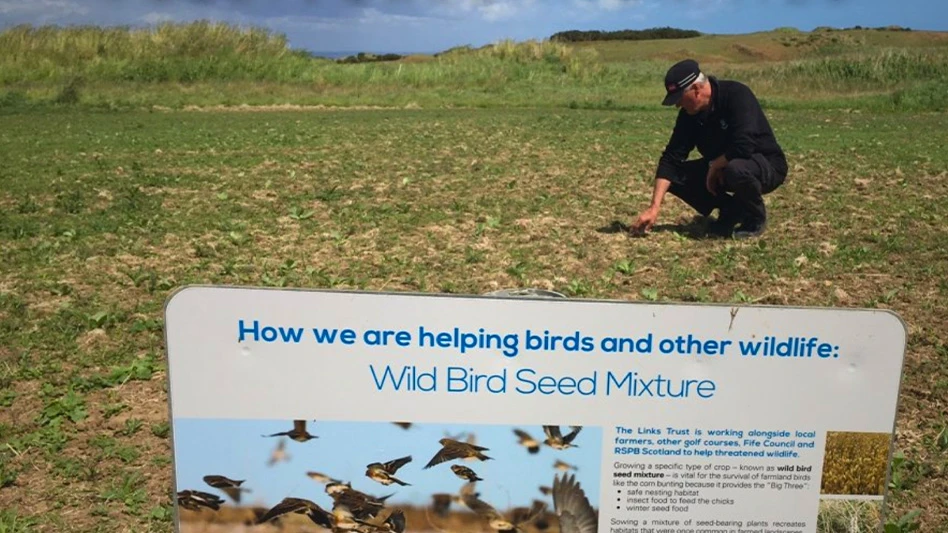 A man look at turf on a golf course.