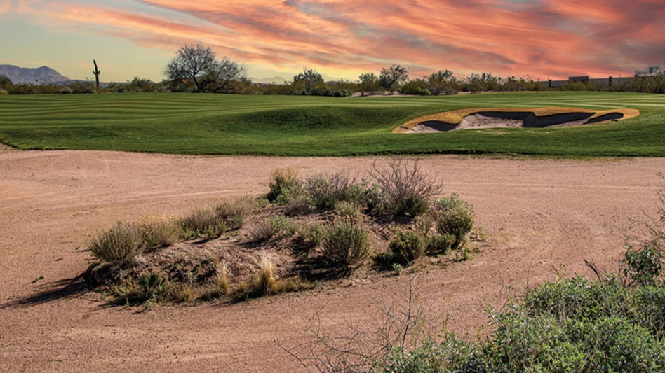 An illustration of desert golf.
