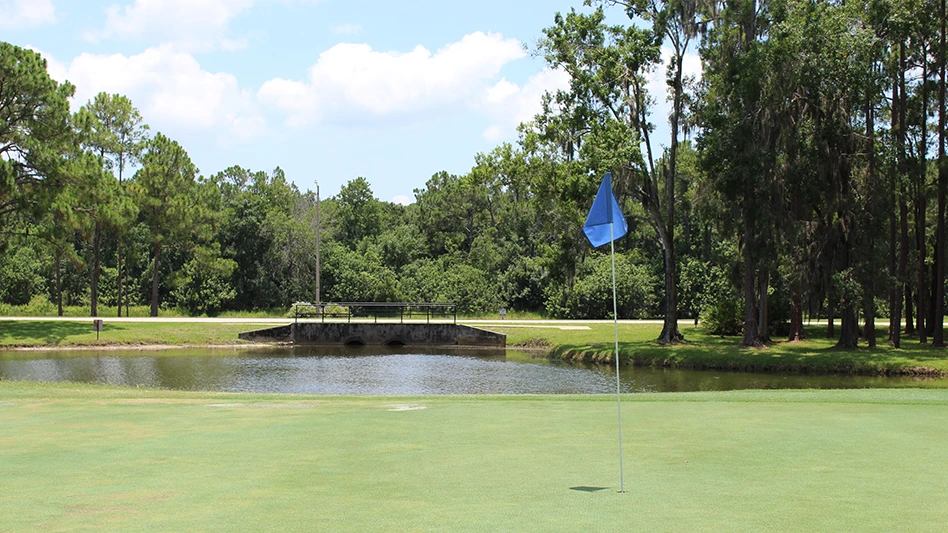 A green at The Eagles Golf Club