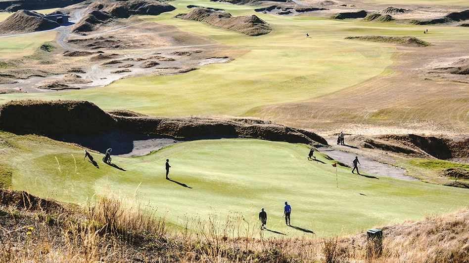 A foursome on a golf course green.